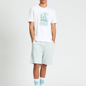 Мужские трёхцветные хлопковые шорты Ben Sherman, мятные